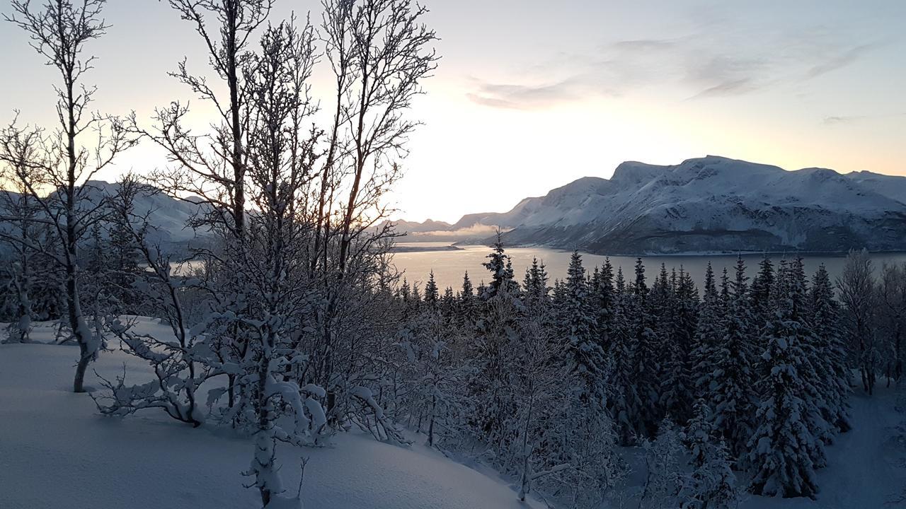 Svensby Slettvold Lyngen 빌라 외부 사진